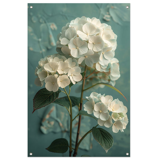 Witte Hortensia Bloemen in Turquoise Vaas tuinposter