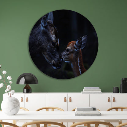 Intiem moment tussen hert en kalf forex muurcirkel