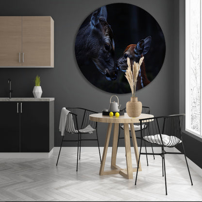 Intiem moment tussen hert en kalf forex muurcirkel