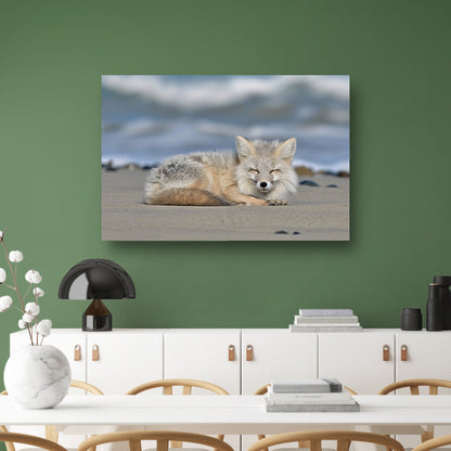 Realistische afbeelding van een vos op het strand acrylglas