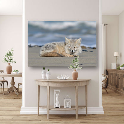 Realistische afbeelding van een vos op het strand acrylglas