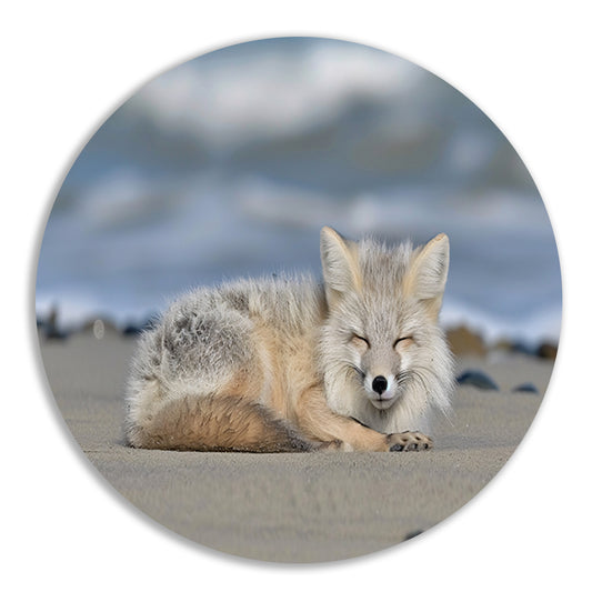 Realistische afbeelding van een vos op het strand aluminium muurcirkel