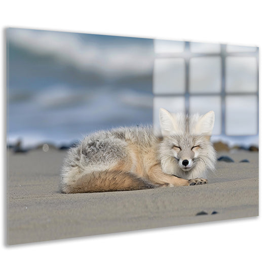 Realistische afbeelding van een vos op het strand acrylglas