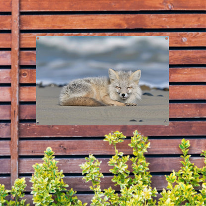 Realistische afbeelding van een vos op het strand tuinposter