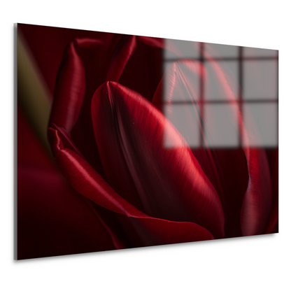 Close-up van rode bloem in donkere achtergrond acrylglas