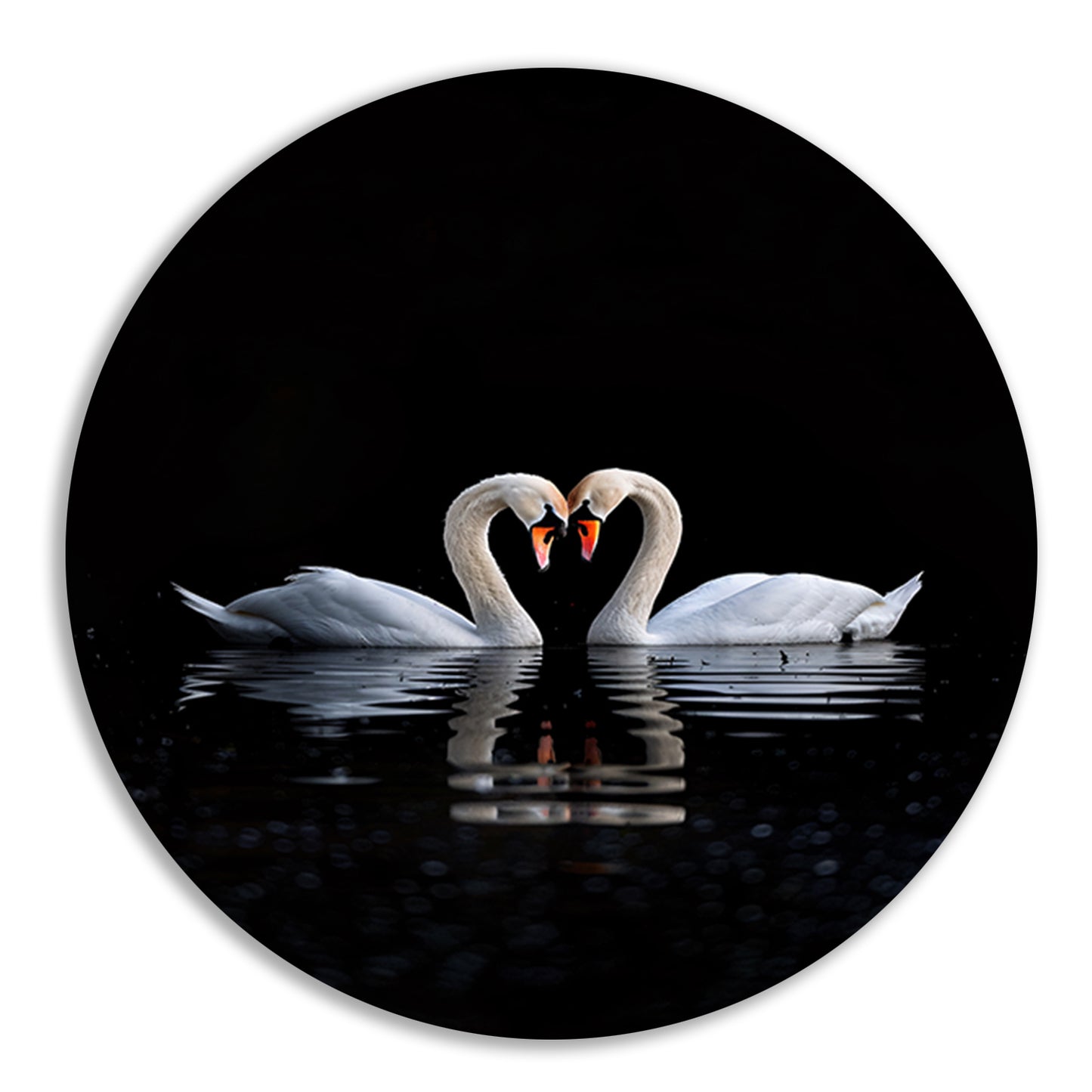 Twee zwanen vormen hart op water aluminium muurcirkel