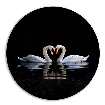 Twee zwanen vormen hart op water aluminium muurcirkel
