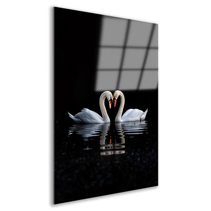 Twee zwanen vormen hart op water acrylglas