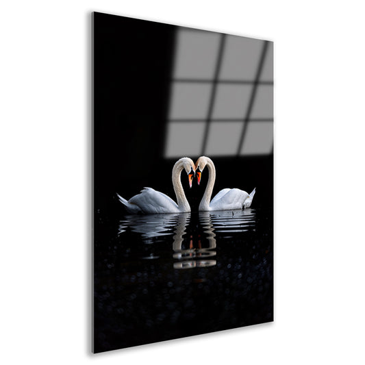 Twee zwanen vormen hart op water acrylglas