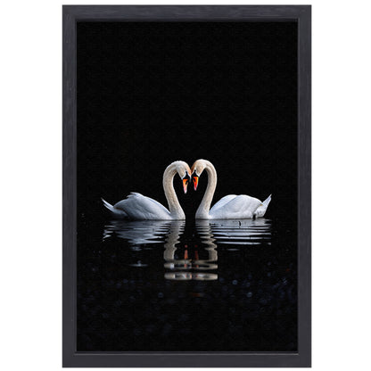 Twee zwanen vormen hart op water canvas met baklijst