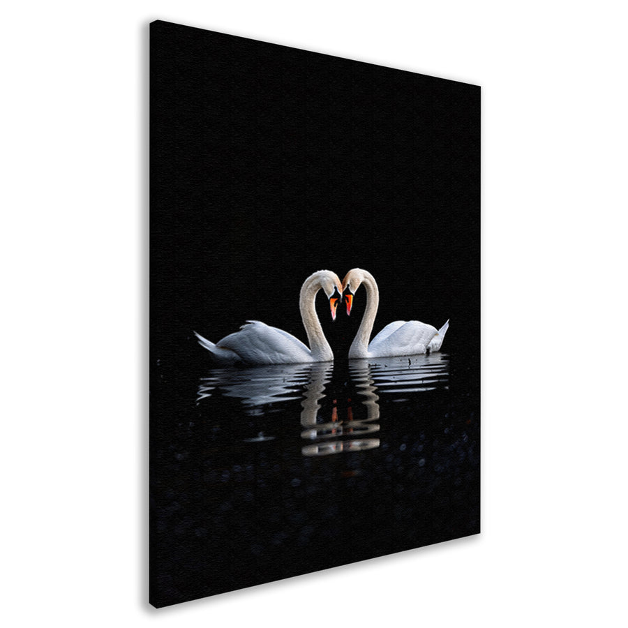 Twee zwanen vormen hart op water canvas