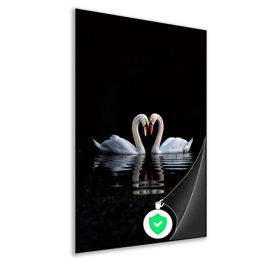 Twee zwanen vormen hart op water poster