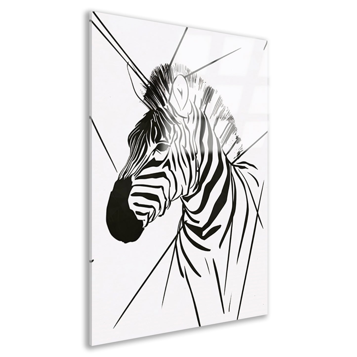 Zebra in Minimalistische Lijntekening Stijl acrylglas