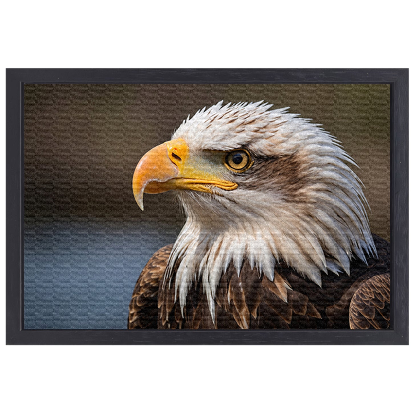 Realistisch portret van een majestueuze adelaar canvas met baklijst