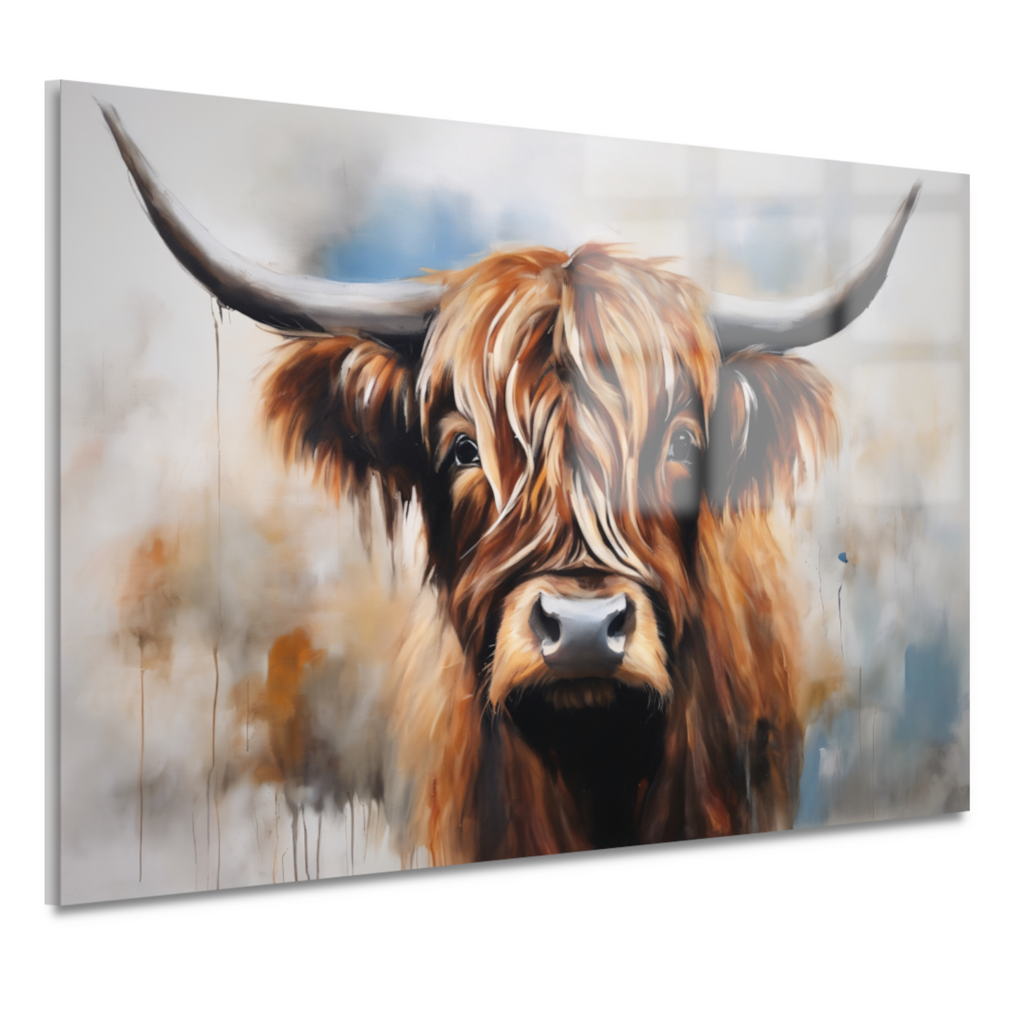 Starende Schotse Hooglander in Detail acrylglas