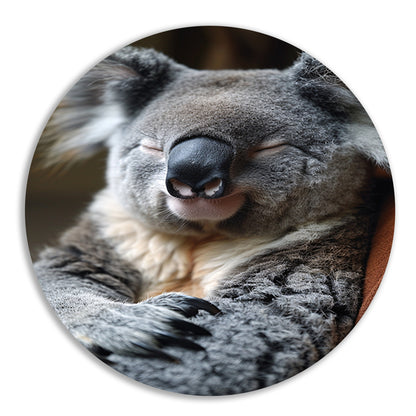 Close-up van een slapende koala aluminium muurcirkel
