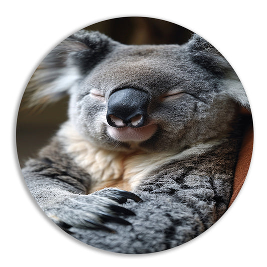 Close-up van een slapende koala aluminium muurcirkel