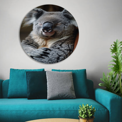 Close-up van een slapende koala aluminium muurcirkel