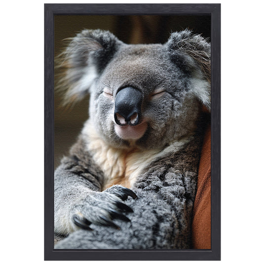 Close-up van een slapende koala canvas met baklijst
