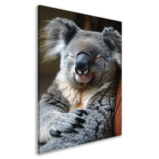 Close-up van een slapende koala canvas
