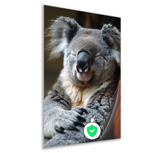 Close-up van een slapende koala poster
