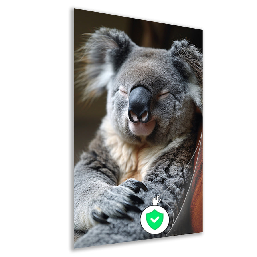 Close-up van een slapende koala poster