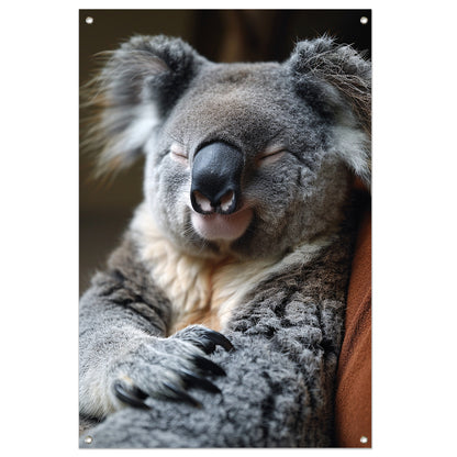 Close-up van een slapende koala tuinposter