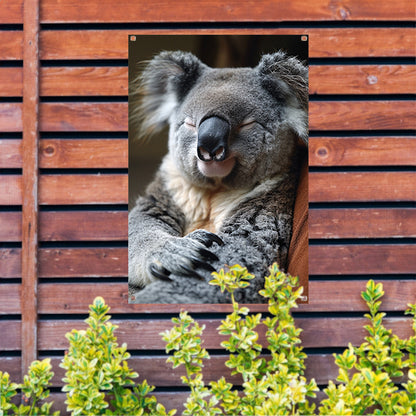 Close-up van een slapende koala tuinposter