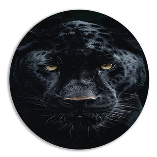 Zwarte panter muurcirkels