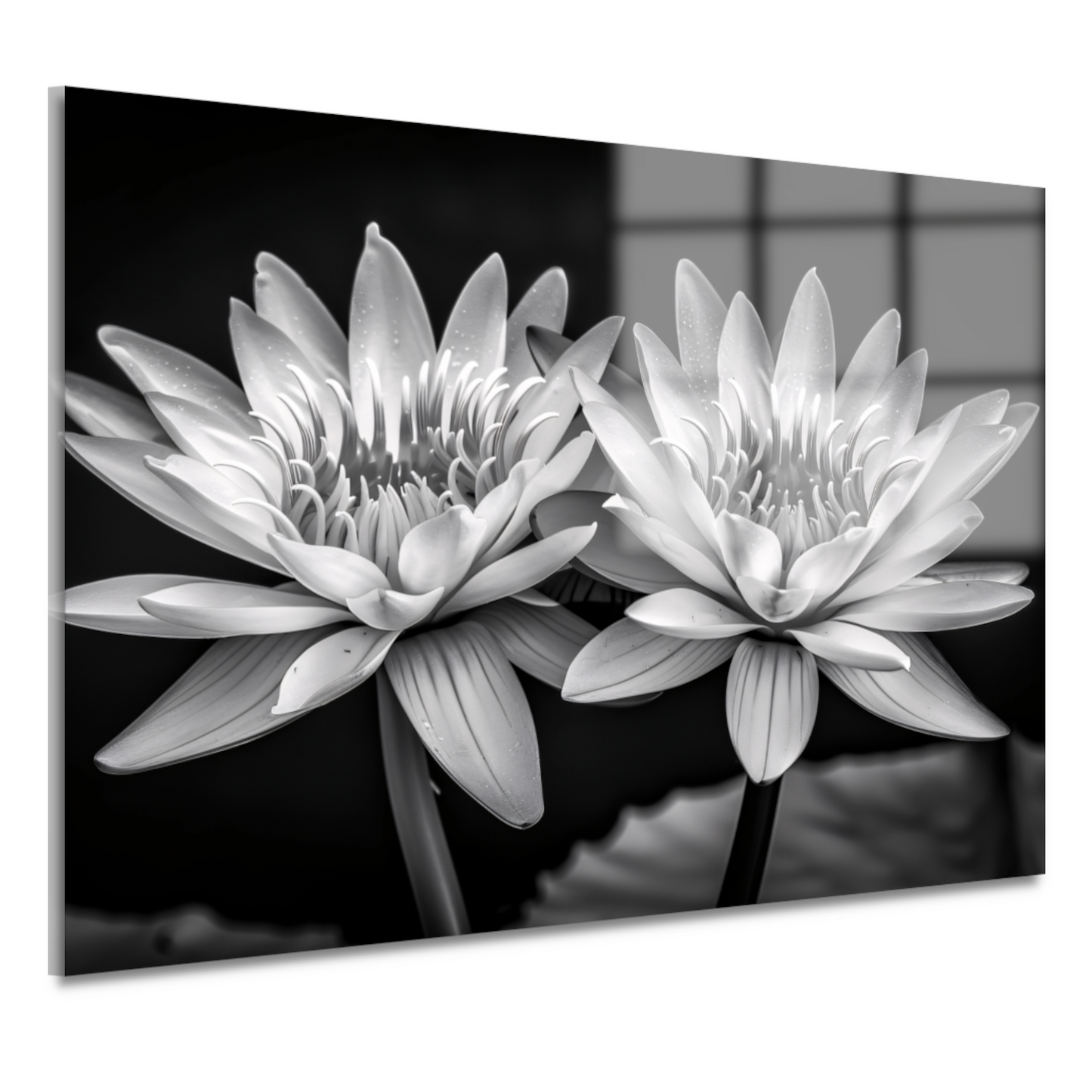 Stilleven met waterlelies acrylglas