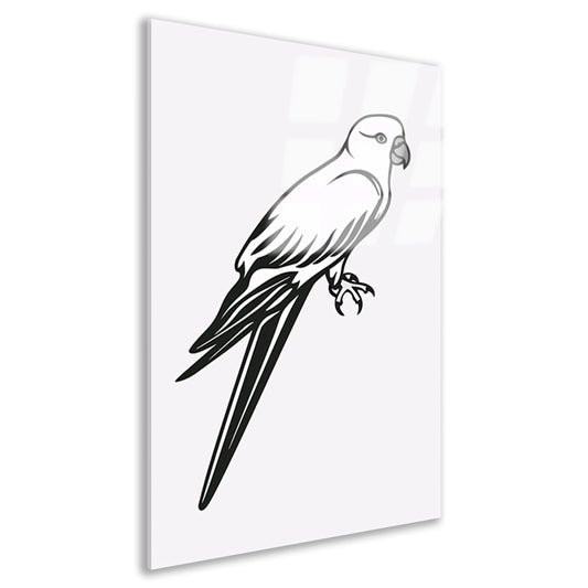 Minimalistische lijntekening van een papegaai op tak acrylglas