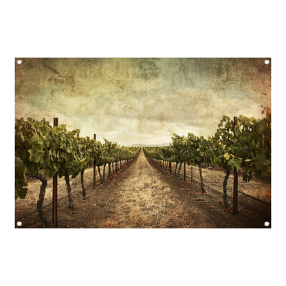 Sepia Wijngaard Landschap met Rijpe Druiven tuinposter