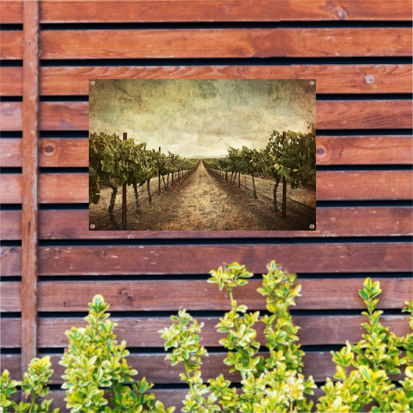 Sepia Wijngaard Landschap met Rijpe Druiven tuinposter