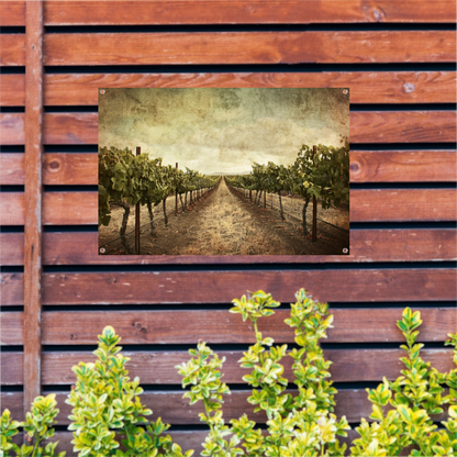 Sepia Wijngaard Landschap met Rijpe Druiven tuinposter