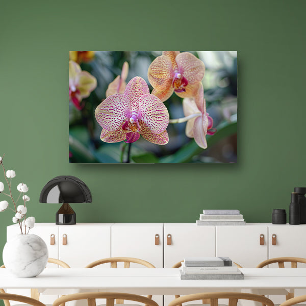 Close-up van bloeiende orchidee met bladerencanvas