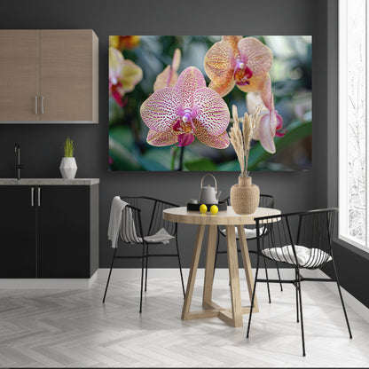 Close-up van bloeiende orchidee met bladeren poster