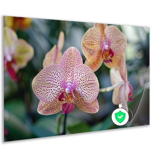 Close-up van bloeiende orchidee met bladeren poster