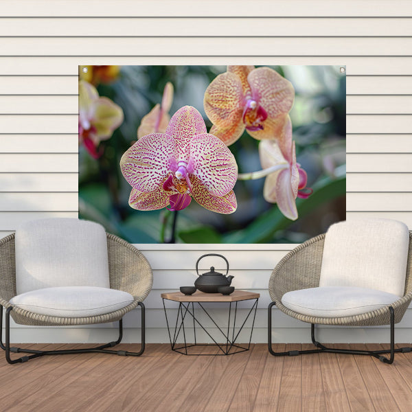 Close-up van bloeiende orchidee met bladeren tuinposter