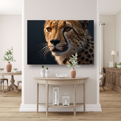 Intense blik van een rustende cheeta poster