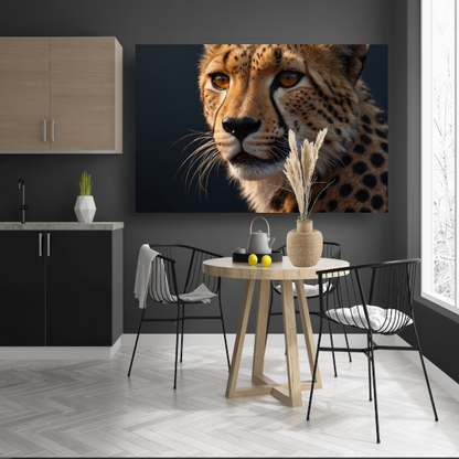 Intense blik van een rustende cheeta poster