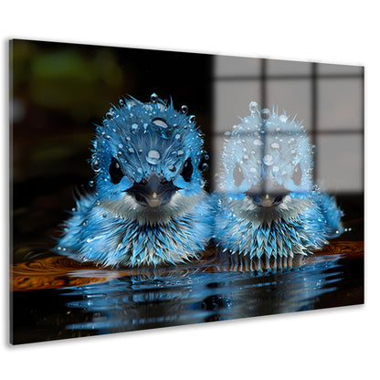 Blauwe Vogels in Ochtenddauw acrylglas