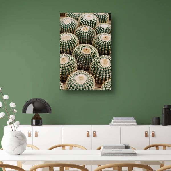 Veel ronde cactussen in close-up poster