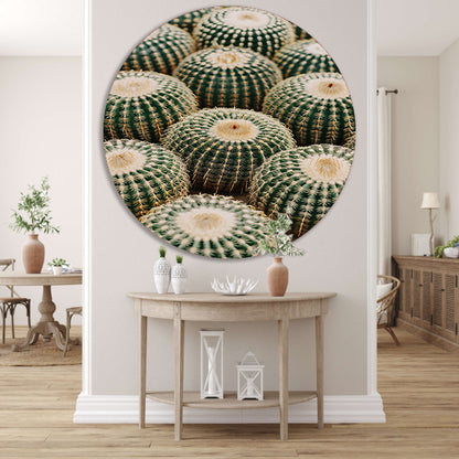 Veel ronde cactussen in close-up aluminium muurcirkel