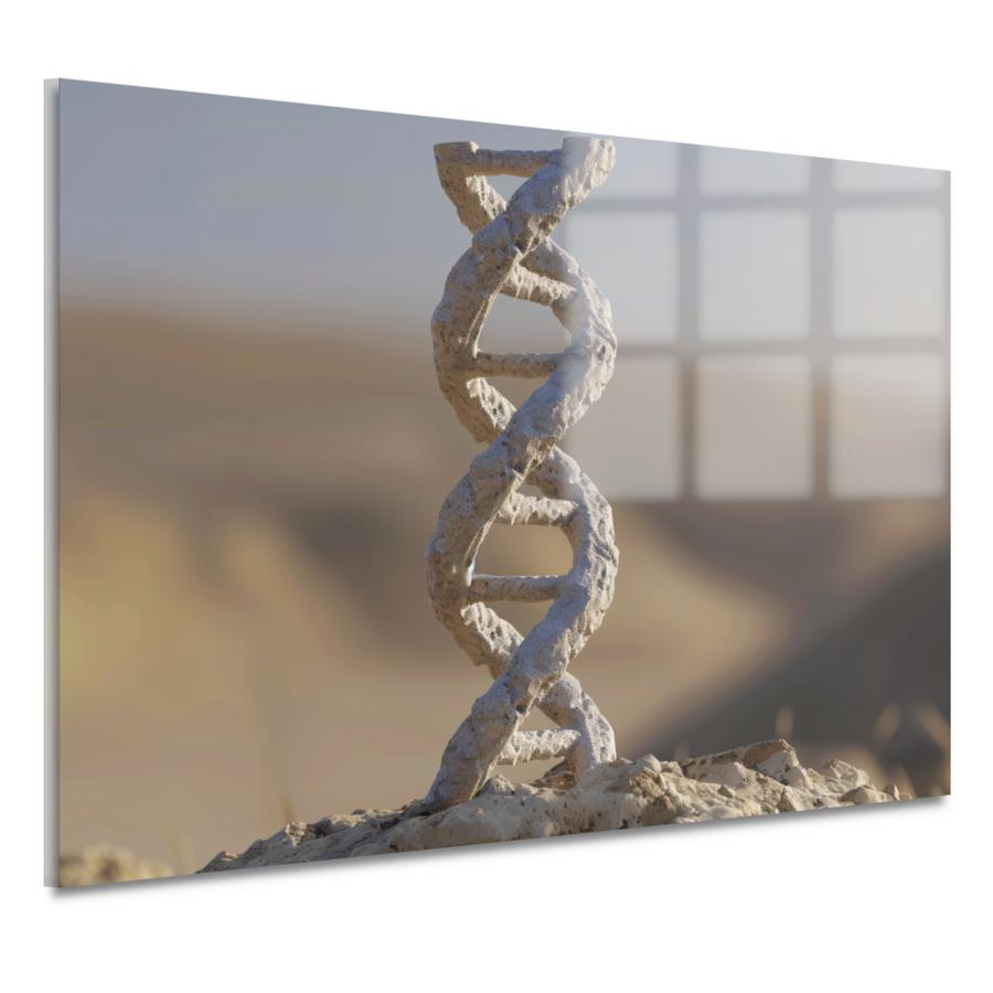 DNA-structuur op steen acrylglas