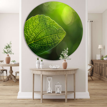 Gedetailleerde close-up van een groen blad forex muurcirkel