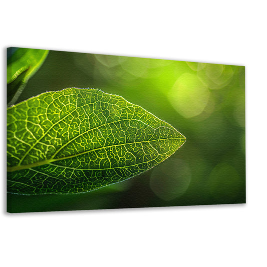 Gedetailleerde close-up van een groen blad canvas