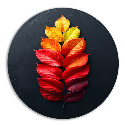 Kleurrijk Herfstbladeren op Donkere Achtergrond forex muurcirkel