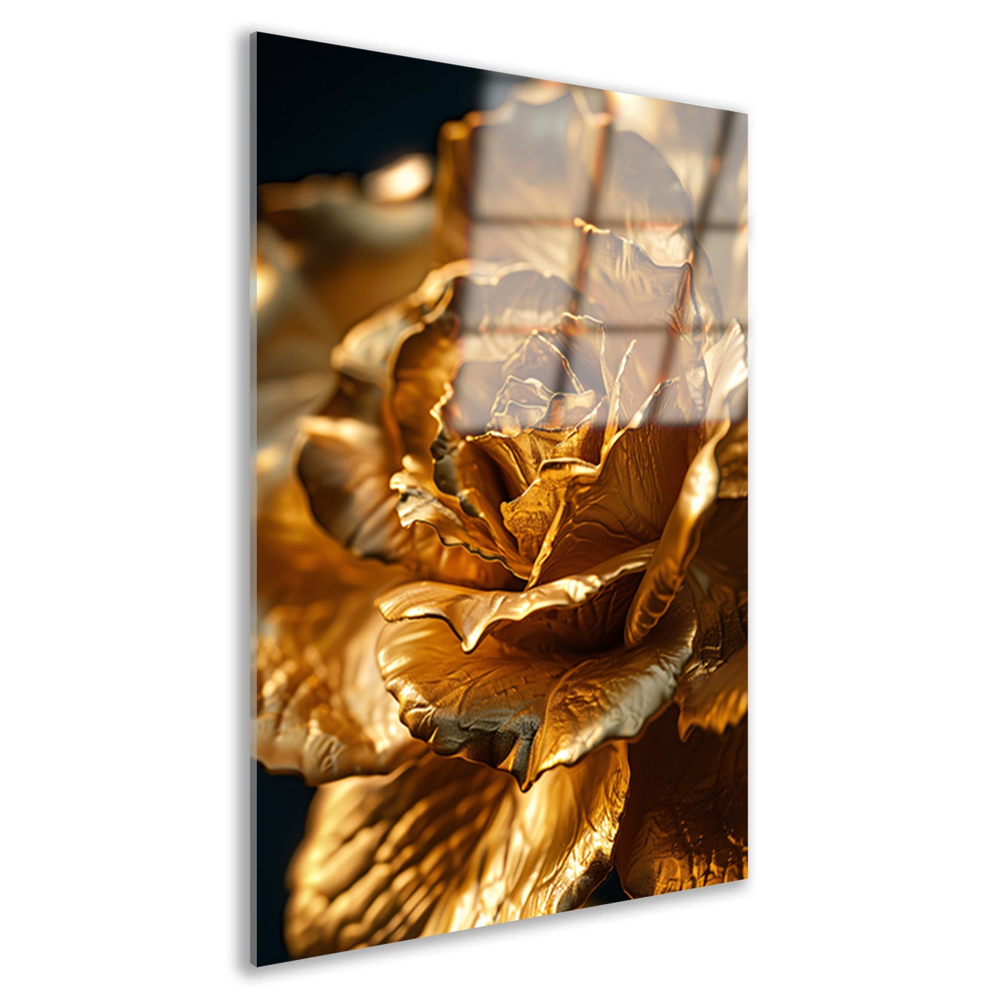 Gouden roos met delicaat licht en schaduwspel acrylglas