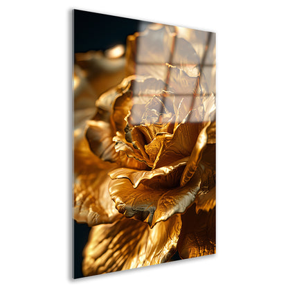Gouden roos met delicaat licht en schaduwspel acrylglas