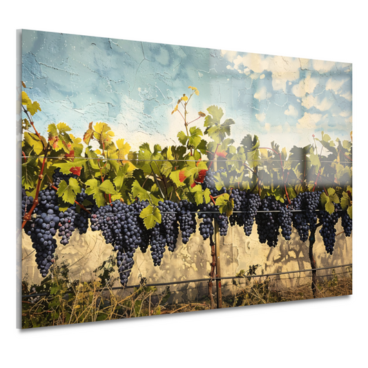 Wijngaard onder een helderblauwe lucht acrylglas